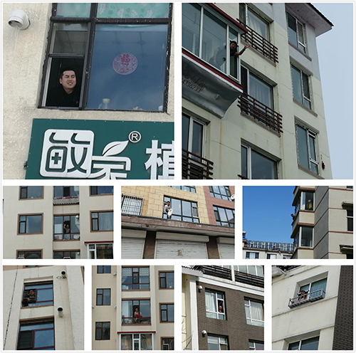 1581910943174898.jpg 2.jpg